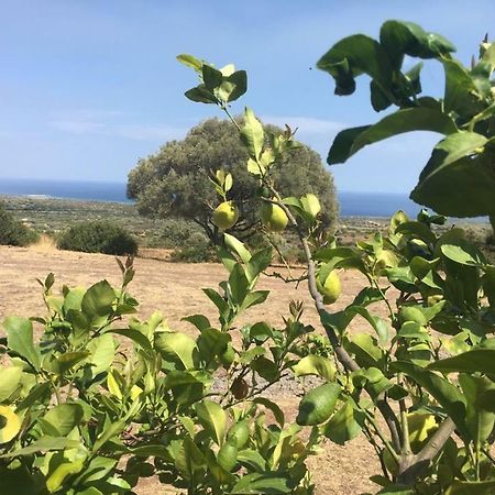 Agriturismo Su Nuragheddu Villa Galtellì Dış mekan fotoğraf