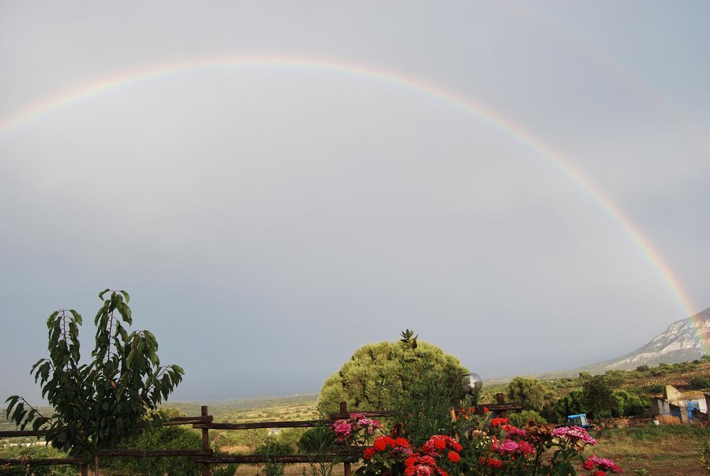 Agriturismo Su Nuragheddu Villa Galtellì Dış mekan fotoğraf