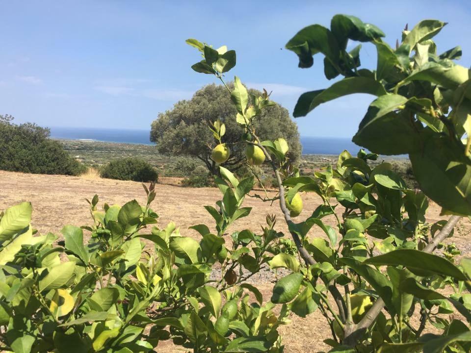 Agriturismo Su Nuragheddu Villa Galtellì Dış mekan fotoğraf