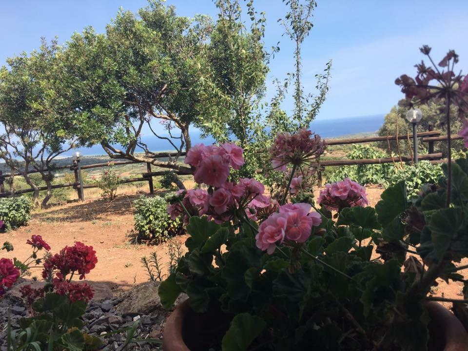 Agriturismo Su Nuragheddu Villa Galtellì Dış mekan fotoğraf